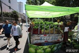 徐州哪里有吃瓜,探寻城市中的甜蜜诱惑