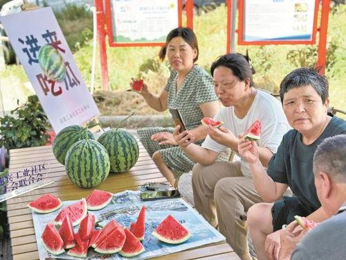 社区吃瓜,揭秘邻里间的八卦风云