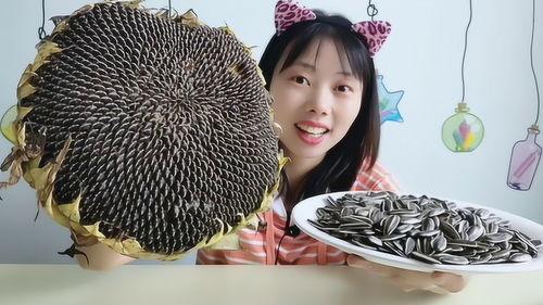 葵花进城吃瓜,一场别开生面的吃瓜之旅