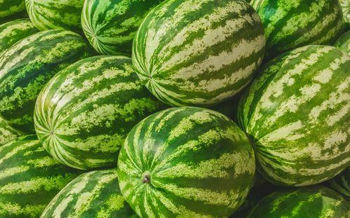 双马吃瓜,揭秘互联网巨头间的“吃瓜”大战