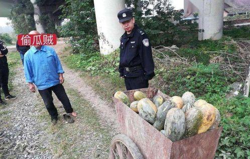 大邑最新吃瓜事件,揭秘背后真相与热议焦点