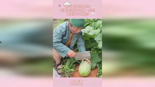 梦见老公吃瓜,揭秘老公吃瓜背后的寓意与启示