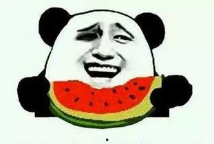 安利吃瓜,揭秘网红美食背后的真相