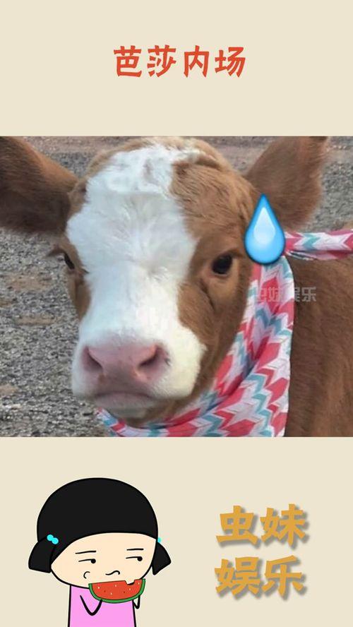 抖音宝宝吃瓜,宝宝欢乐吃瓜瞬间