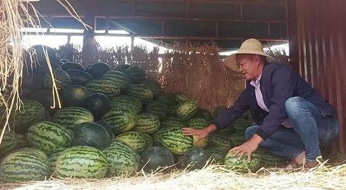 乌海吃瓜群众,揭秘当地生活百态