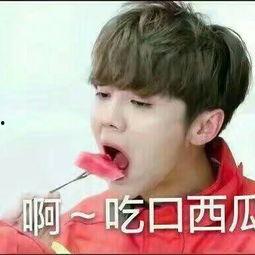 吃瓜图片不带文字,一图看尽美食诱惑