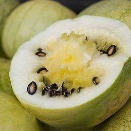 吃瓜吐籽文案,吃瓜吐籽，品味生活小确幸