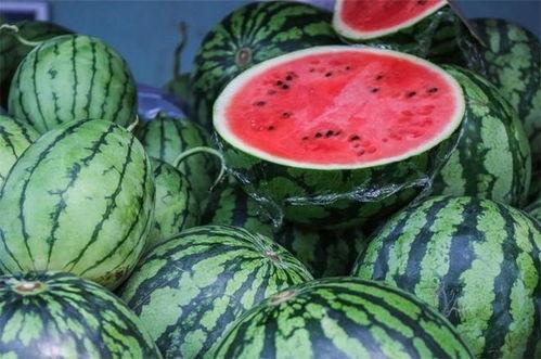 每天吃100只瓜,每日百瓜养生记