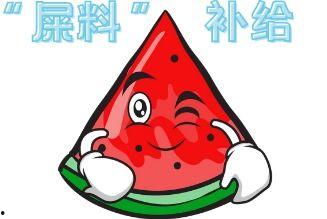 大型吃瓜吵架现场,一场网络狂欢的众生相